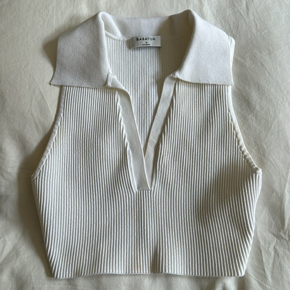 Aritzia Babaton Sculpt Knit Polo Tank - Picture 3 of 5